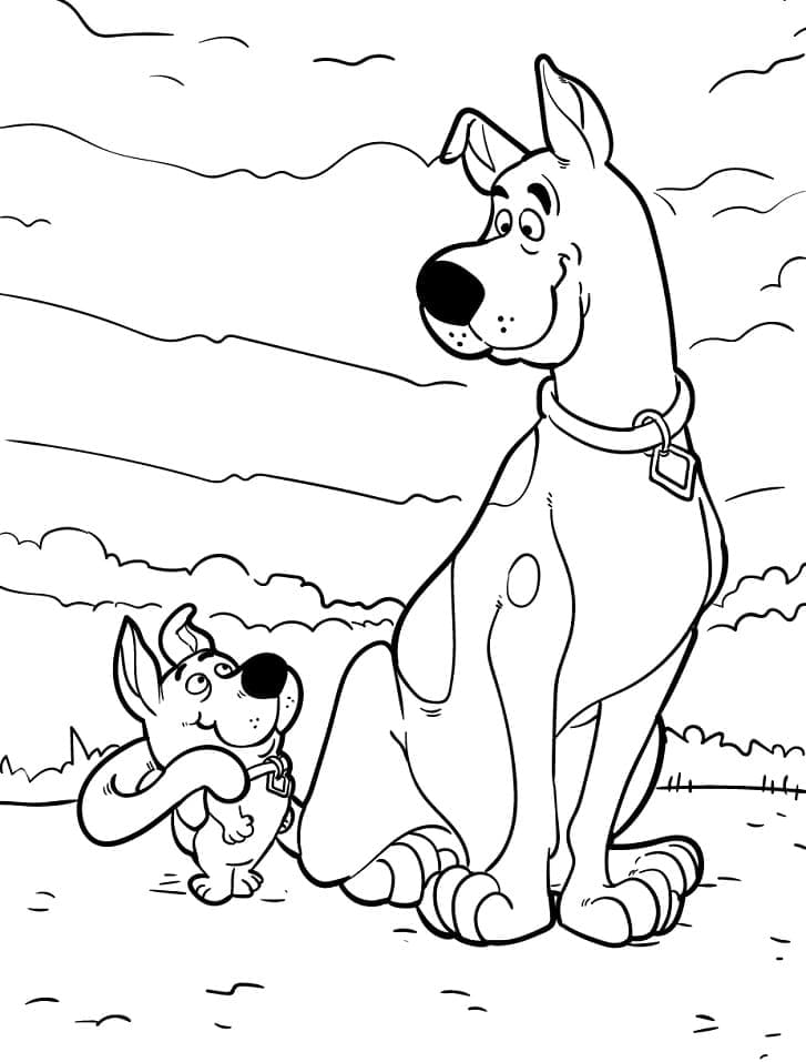 Desenho de Scooby Doo e Scrappy Doo para Colorir e Pintar