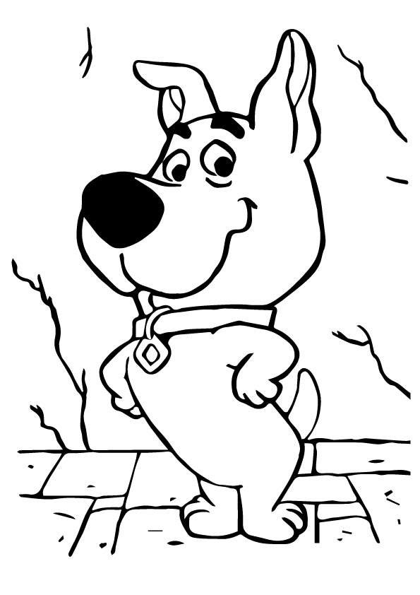 Desenho de Scooby Loo para Colorir e Pintar