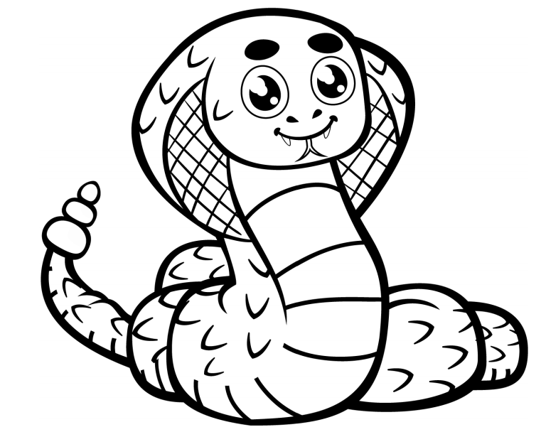 Desenho de Serpente Download para Colorir e Pintar