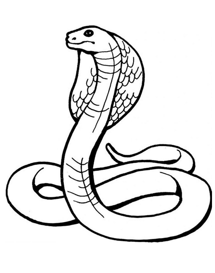 Desenho de Serpente Imprimivel para Colorir e Pintar