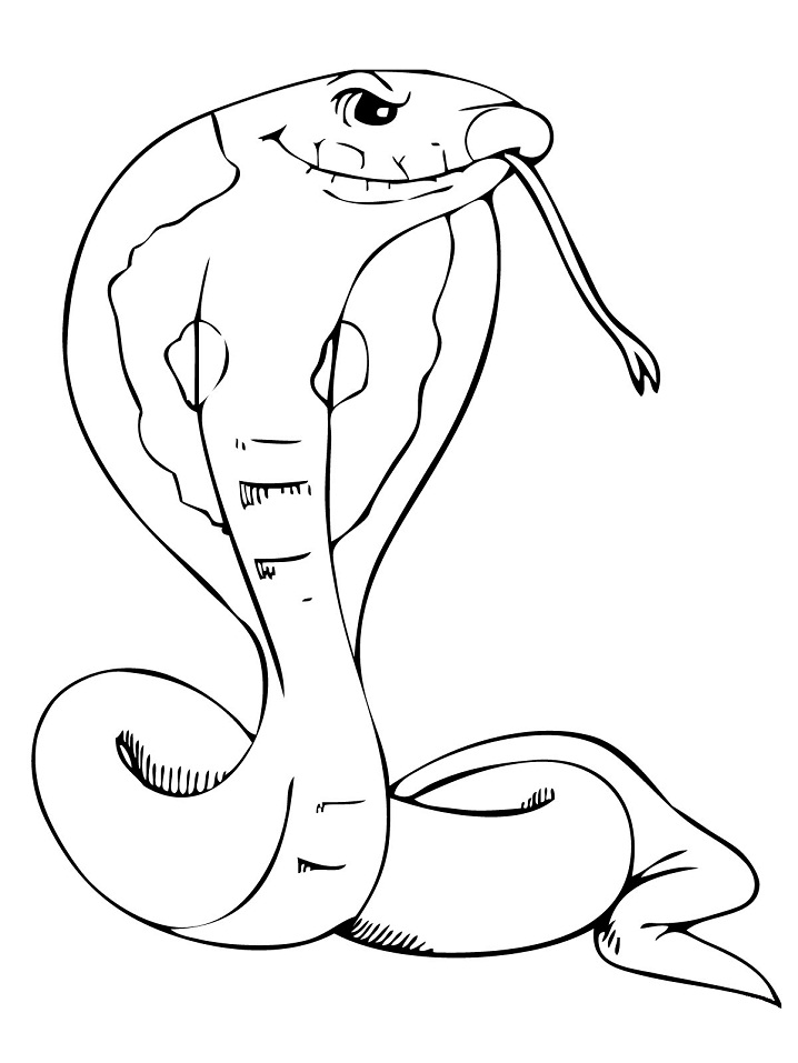 Desenho de Serpente para Colorir Imprimivel e Pintar