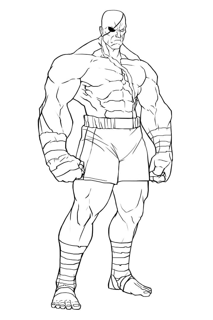 Desenho Sagat para Colorir e Pintar