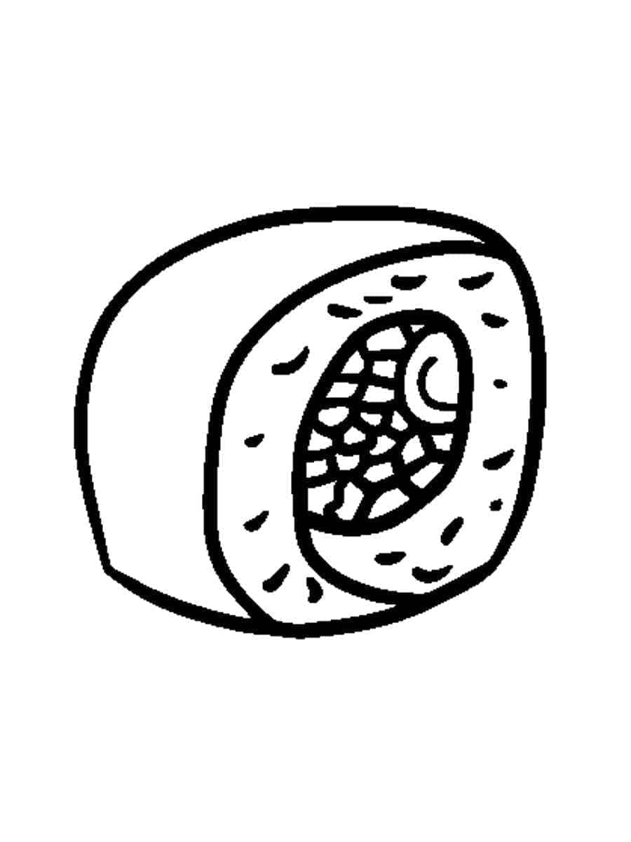 Desenho de Sushi Imprimivel para Crianças para Colorir e Pintar
