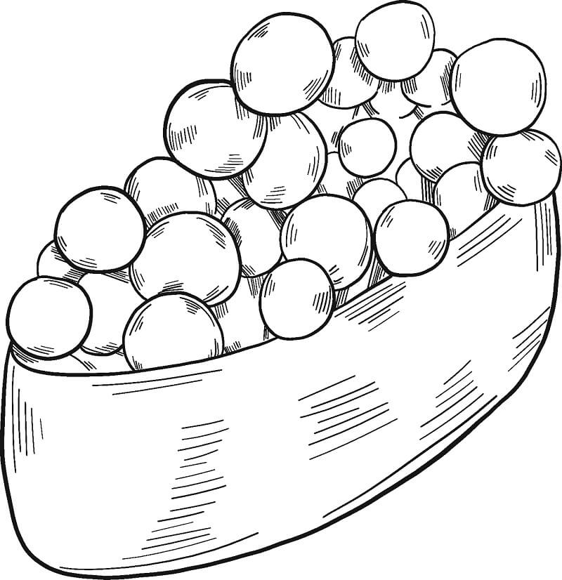 Desenho de Sushi Grátis para Imprimir e Colorir e Pintar