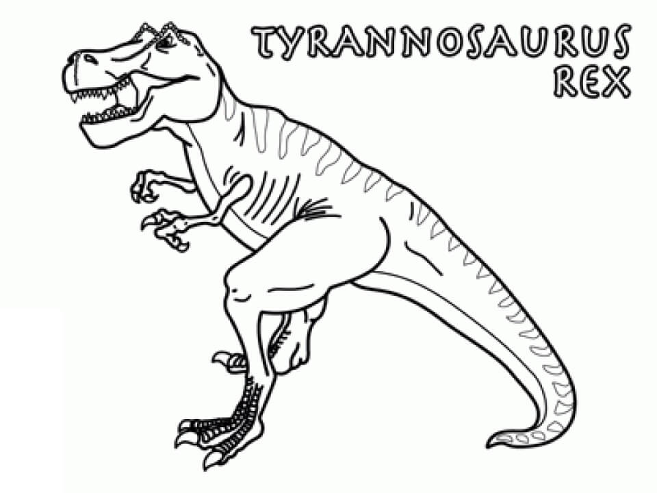 Desenho de Dinossauro T Rex Download para Colorir e Pintar