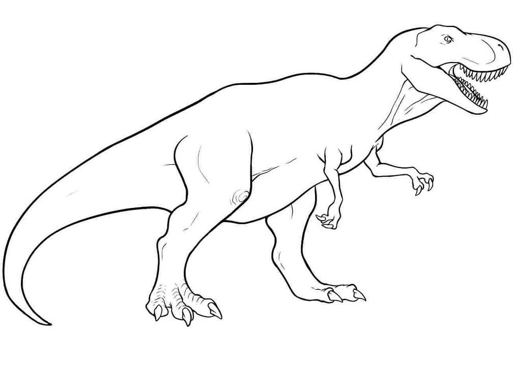 Desenho de T Rex Imprimivel para Colorir e Pintar