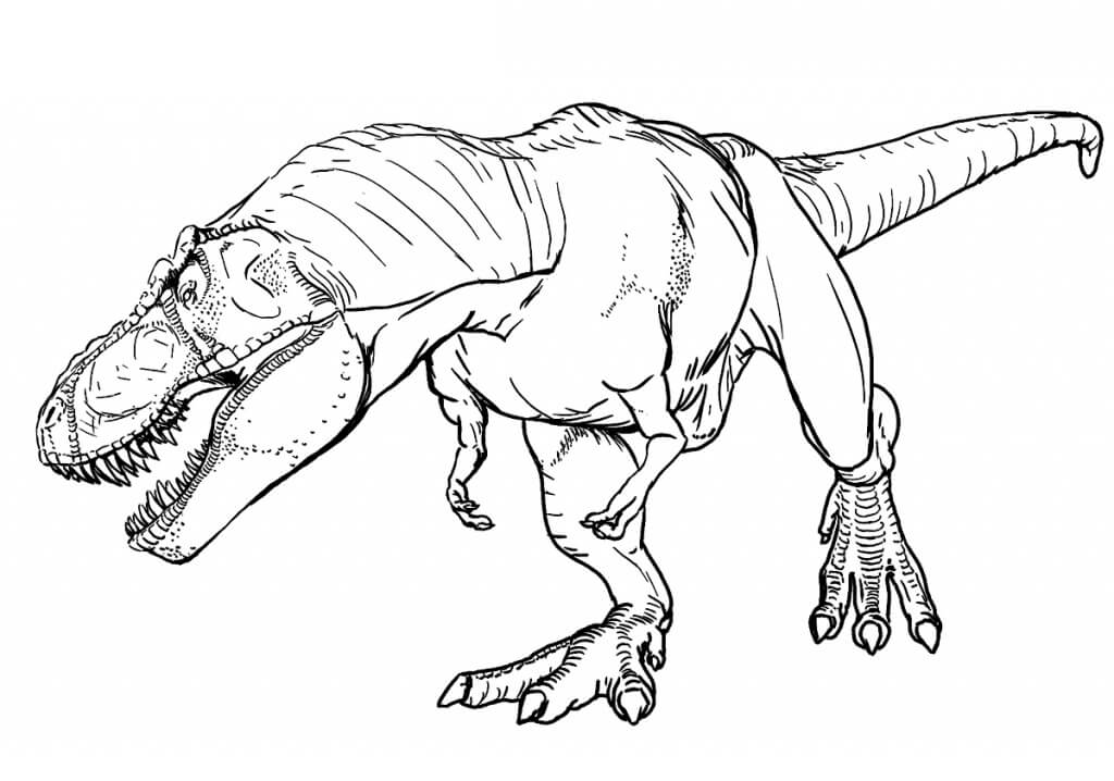 Desenho de T Rex Pdf Grátis para Colorir e Pintar
