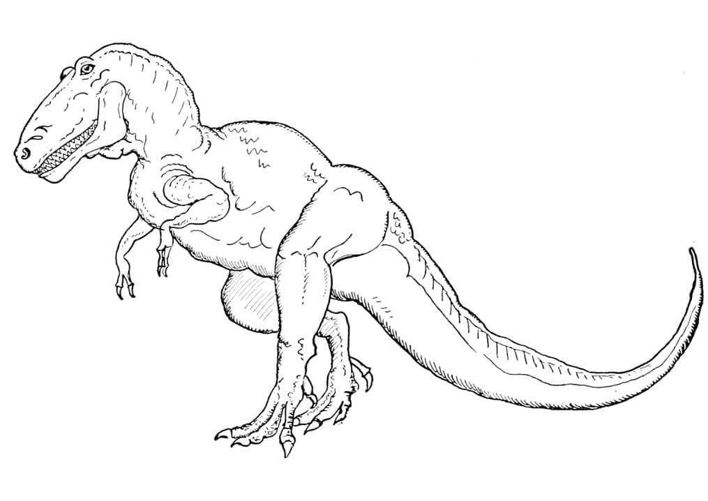 Desenho de Tiranossauro Rex Download para Colorir e Pintar