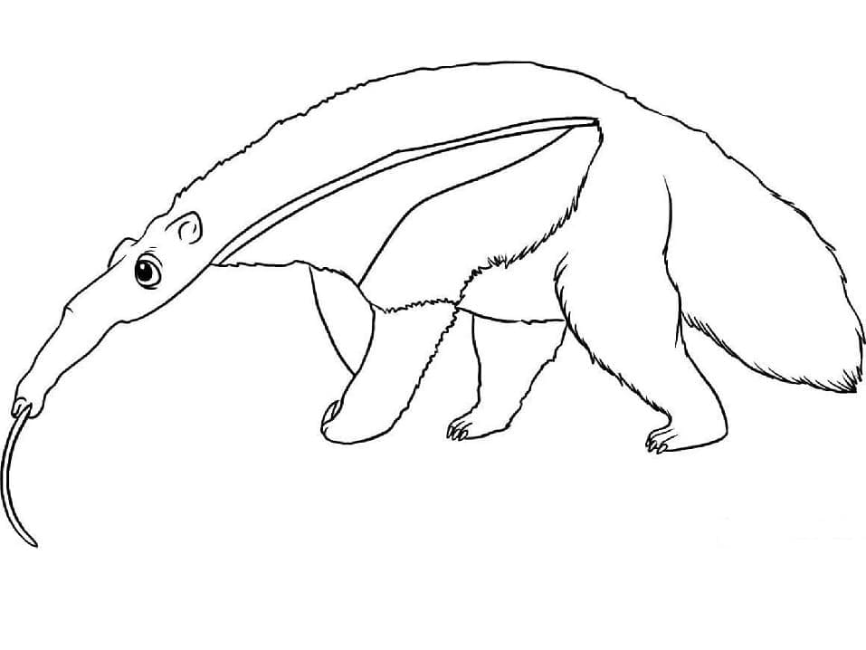 Desenho de Imagem de Tamanduá para Colorir e Pintar