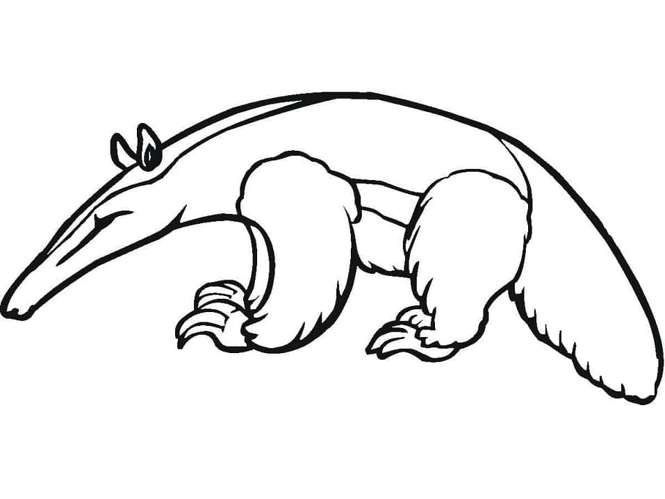 Desenho de Tamanduá Normal para Colorir e Pintar