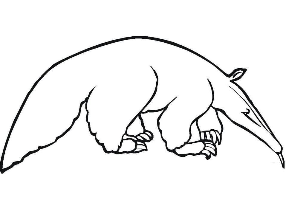 Desenho de Tamanduá para Crianças para Colorir e Pintar