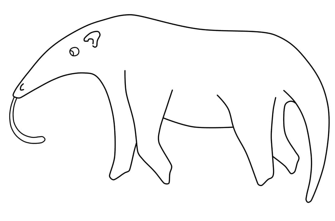 Desenho de Tamanduá Simples para Colorir e Pintar
