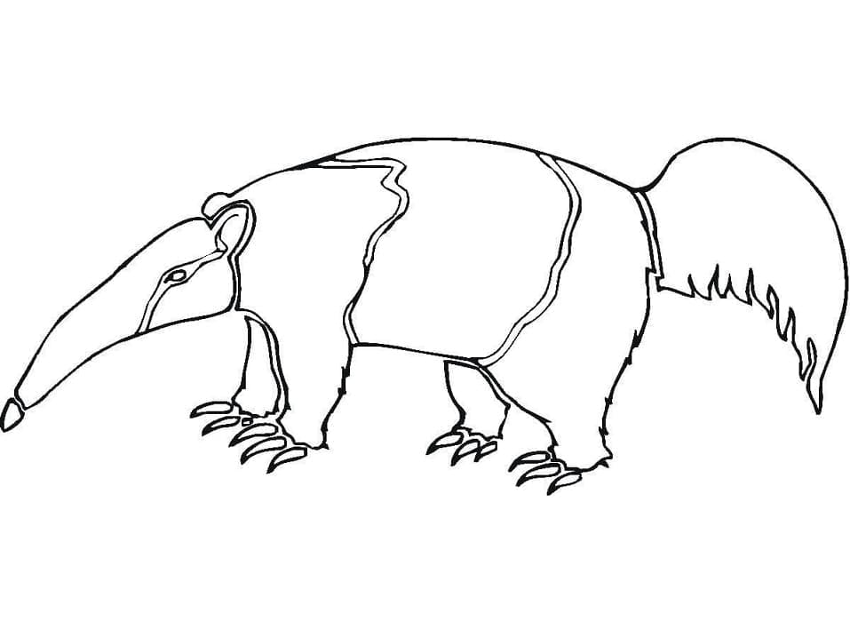 Desenho de um Tamanduá para Colorir e Pintar