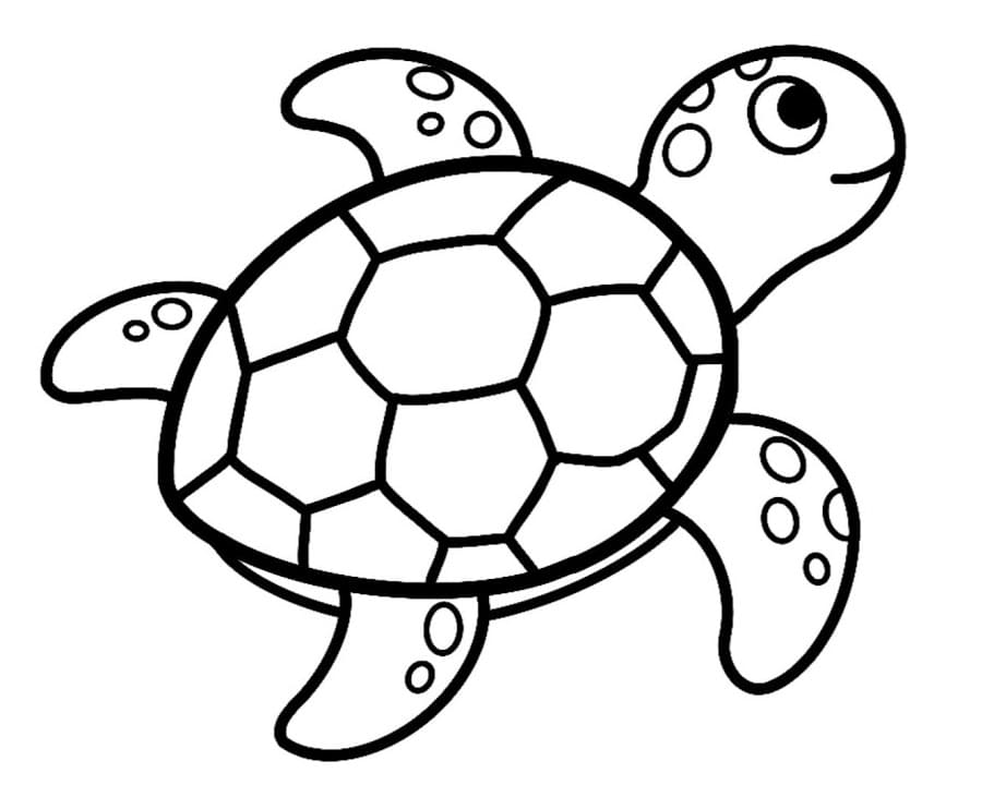 Desenho de Tartaruga Marinha Adorável para Colorir e Pintar