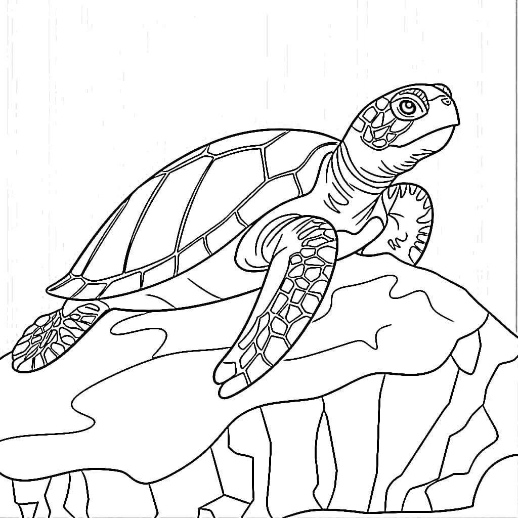 Desenho de Tartaruga Marinha Imprimivel Grátis para Colorir e Pintar