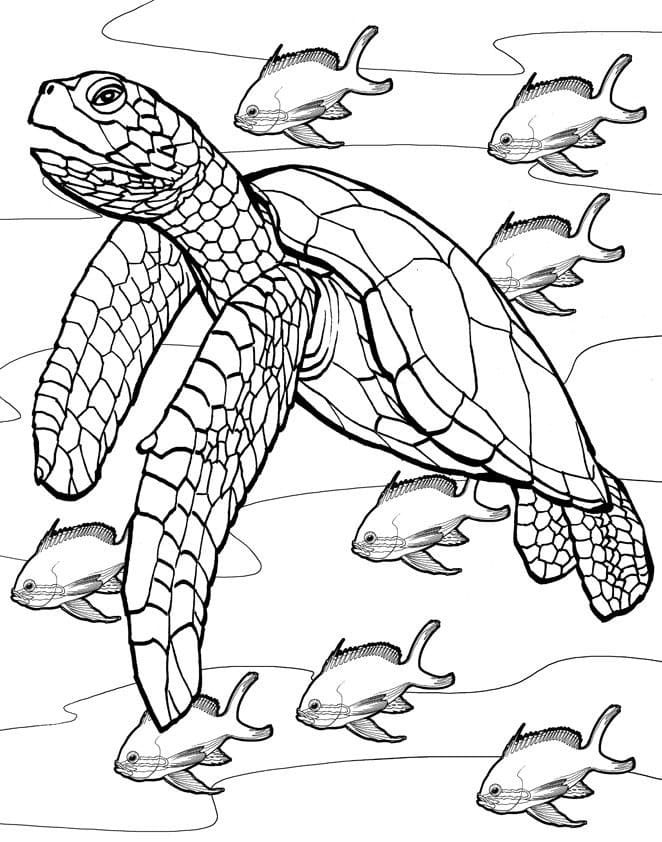 Desenho de Tartaruga Marinha e Peixes para Colorir e Pintar