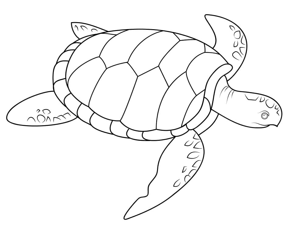 Desenho de uma Tartaruga Marinha para Colorir e Pintar