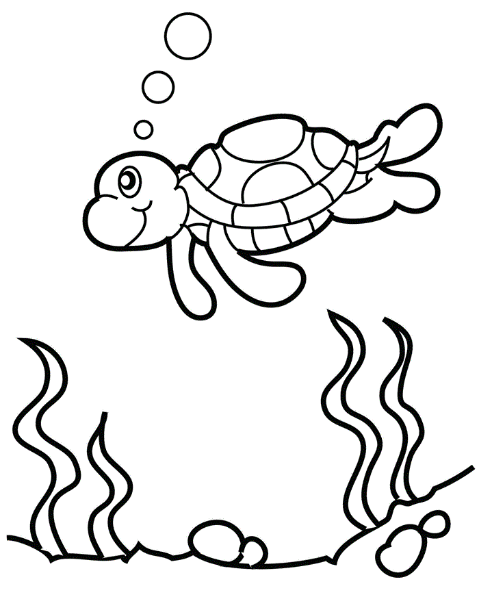 Desenho de Tartaruga Nadando no Mar para Colorir Pdf Grátis e Pintar
