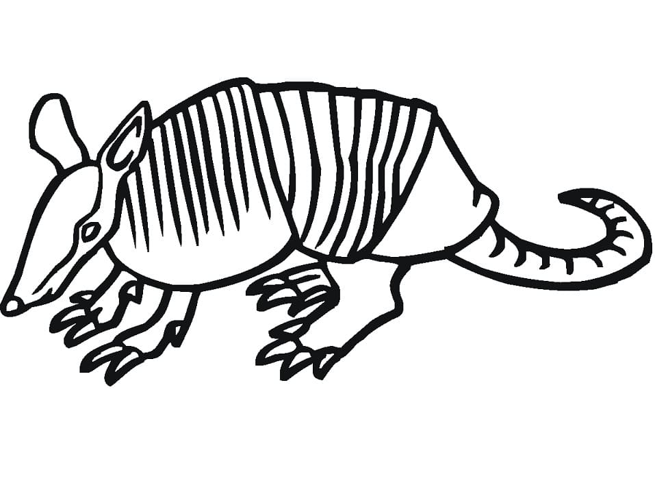 Desenho de Tatu Simples para Colorir e Pintar