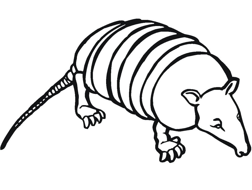 Desenho Imprimivel de Tatu na Terra para Pintar