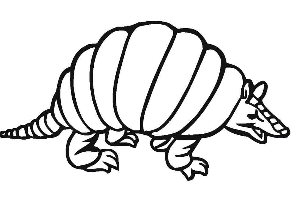 Desenho Pdf Esboço de Tatu para Colorir e Pintar