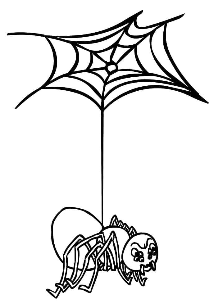 Desenho de Aranha com Teia de Aranha para Colorir e Pintar
