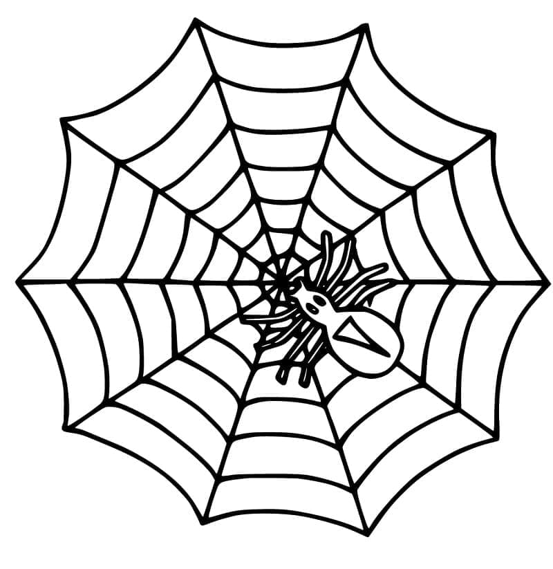 Desenho de Aranha e Teia de Aranha para Colorir e Pintar