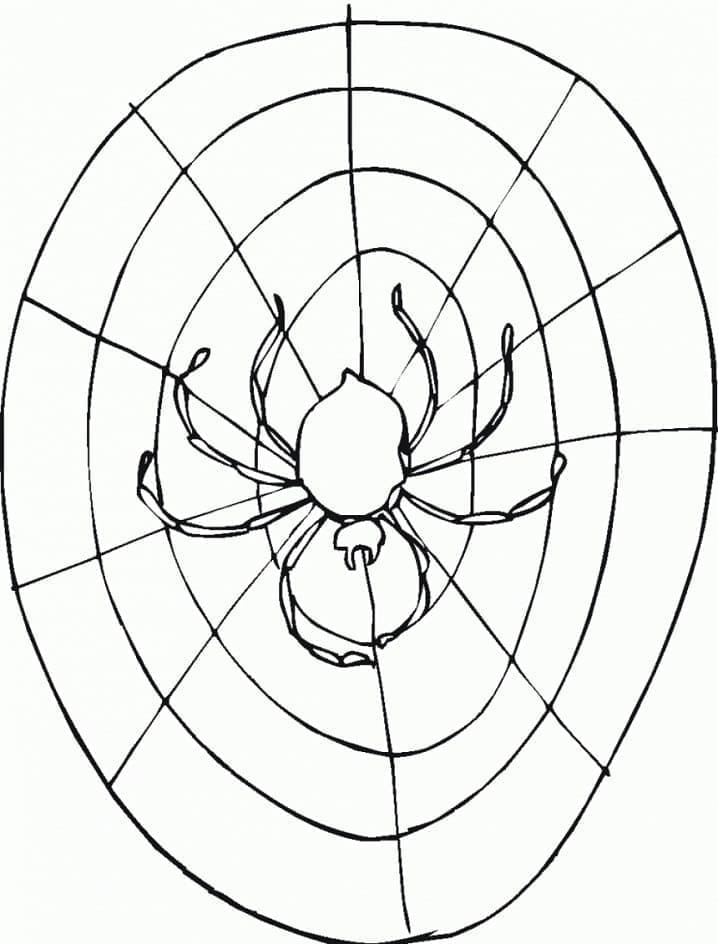 Desenho de Aranha na Teia de Aranha para Colorir e Pintar