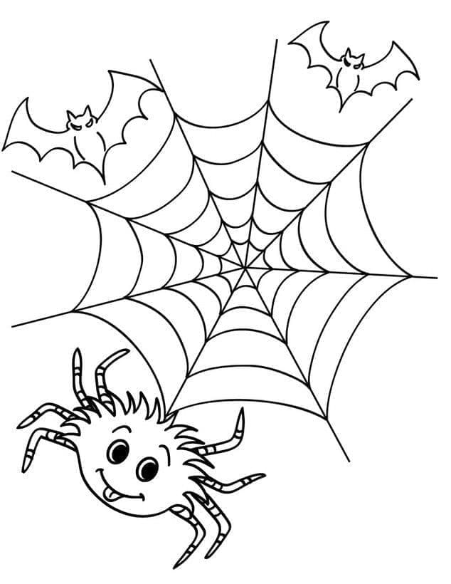 Desenho de Morcegos Aranha e Teia de Aranha para Colorir e Pintar