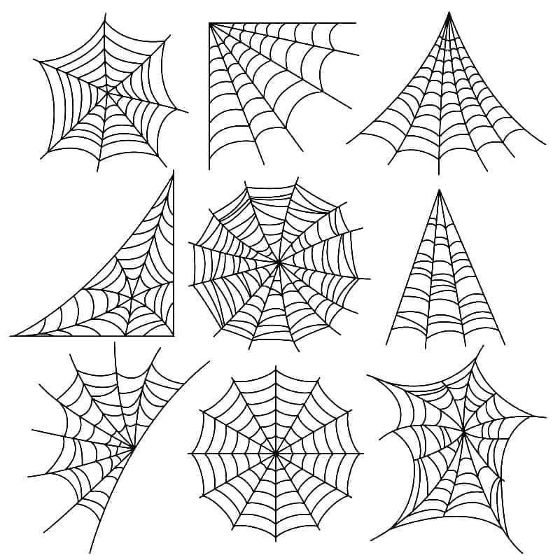 Desenho de Muitas Teias de Aranha para Colorir e Pintar