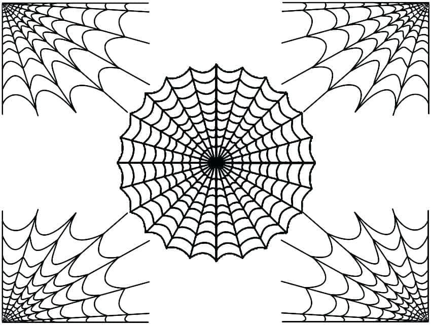 Desenho de Teia de Aranha 1 para Colorir e Pintar