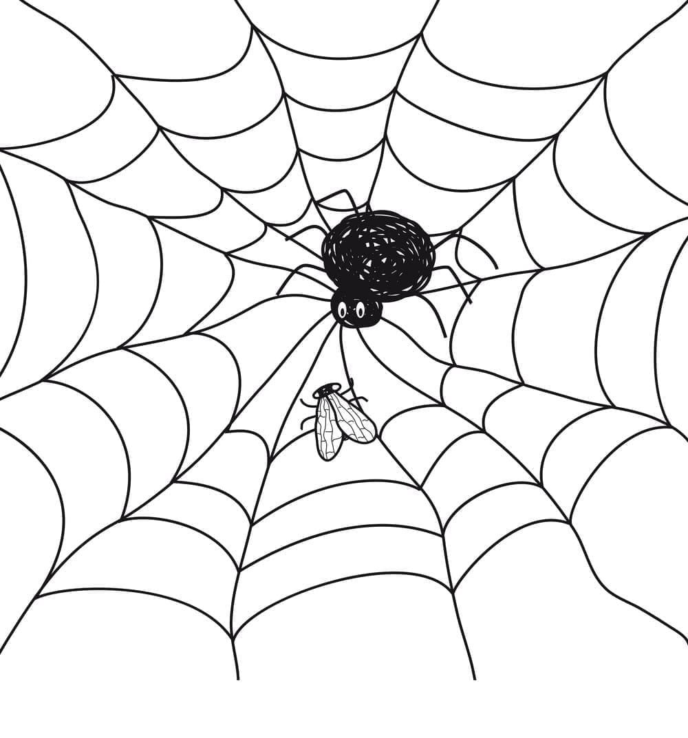 Desenho de Teia de Aranha 3 para Colorir e Pintar