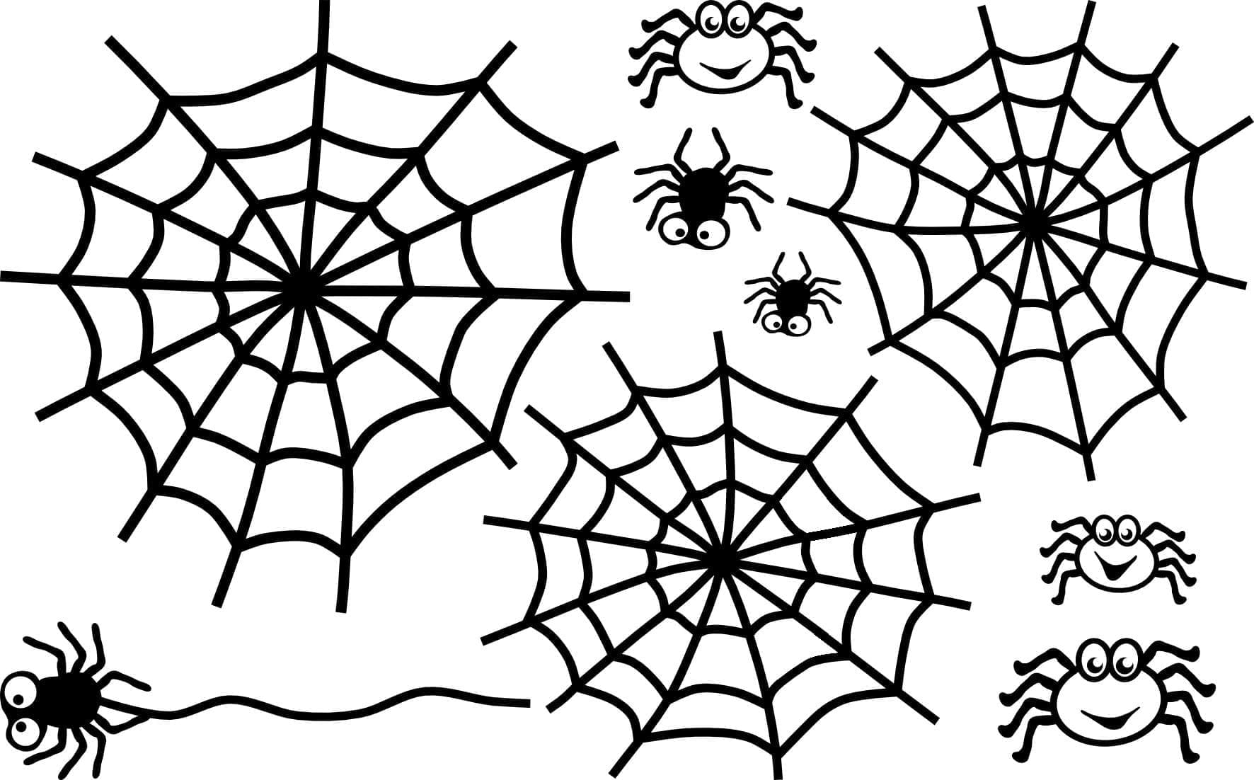 Desenho de Teia de Aranha 5 para Colorir e Pintar