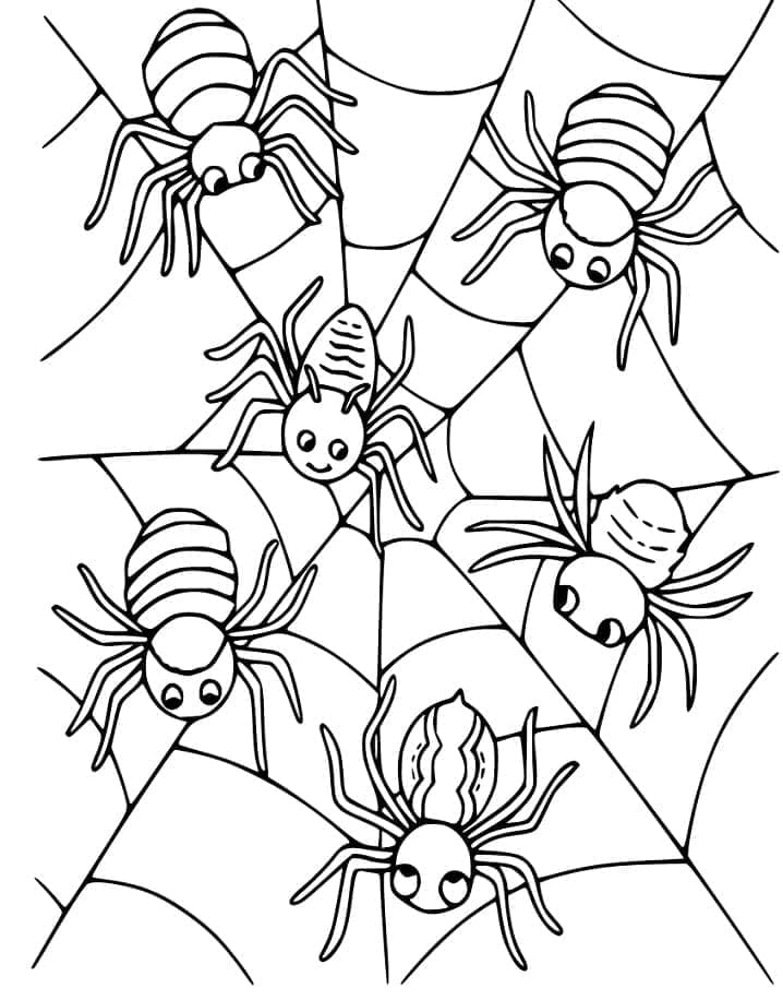 Desenho de Teia de Aranha 6 para Colorir e Pintar