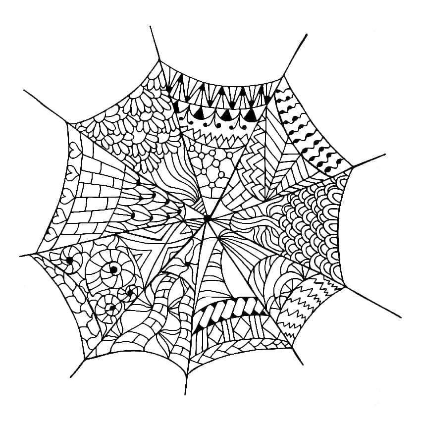 Desenho de Teia de Aranha Antiestresse para Colorir e Pintar