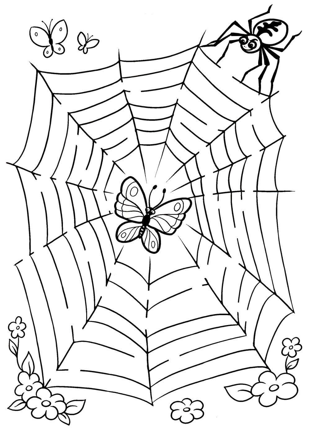 Desenho de Teia de Aranha Grátis para Crianças para Colorir e Pintar
