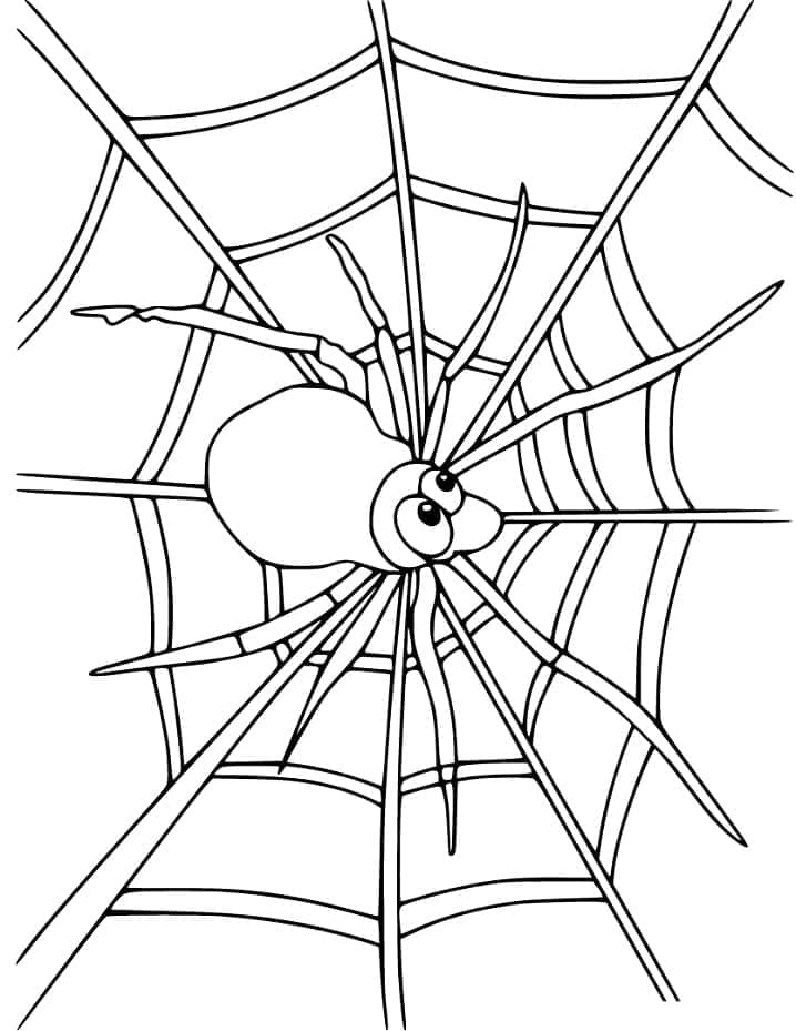 Desenho de Teia de Aranha Imprimivel para Crianças para Colorir e Pintar