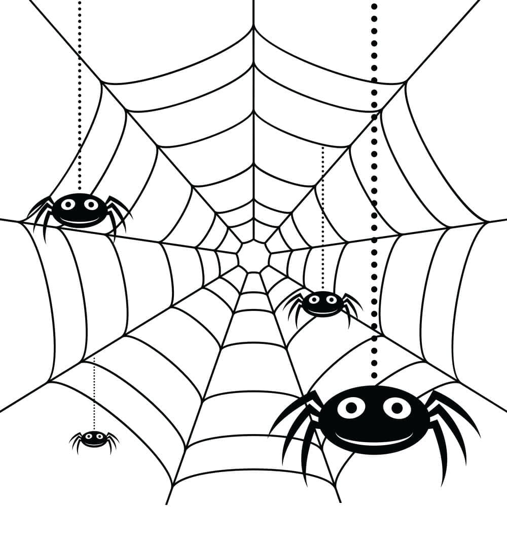 Desenho de Teia de Aranha Imprimivel para Colorir e Pintar