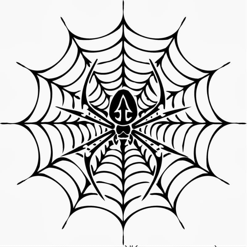 Desenho de Teia de Aranha Maravilhosa para Colorir e Pintar