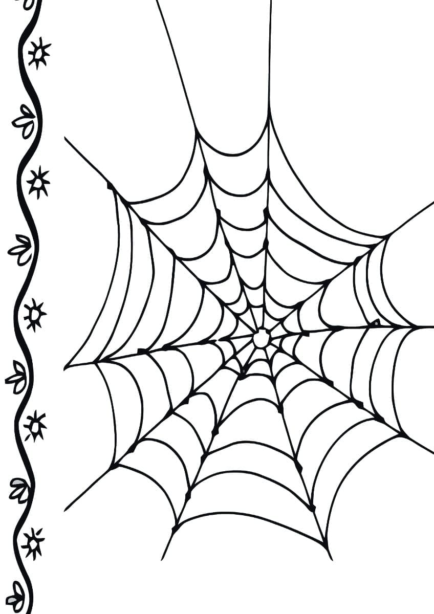 Desenho de Teia de Aranha para Crianças para Colorir e Pintar