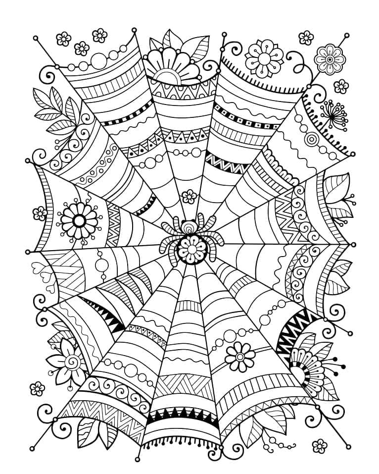 Desenho de Teia de Aranha Zentangle para Colorir e Pintar