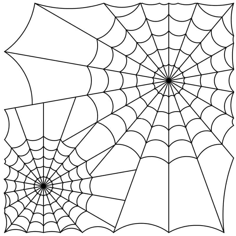 Desenho de Teias de Aranha para Colorir e Pintar