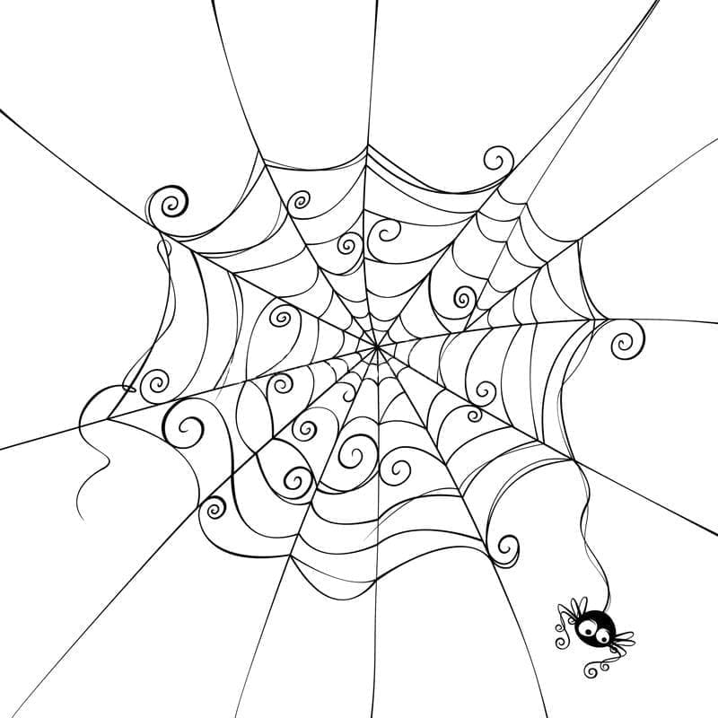 Desenho de uma Aranha e Teia de Aranha para Colorir e Pintar