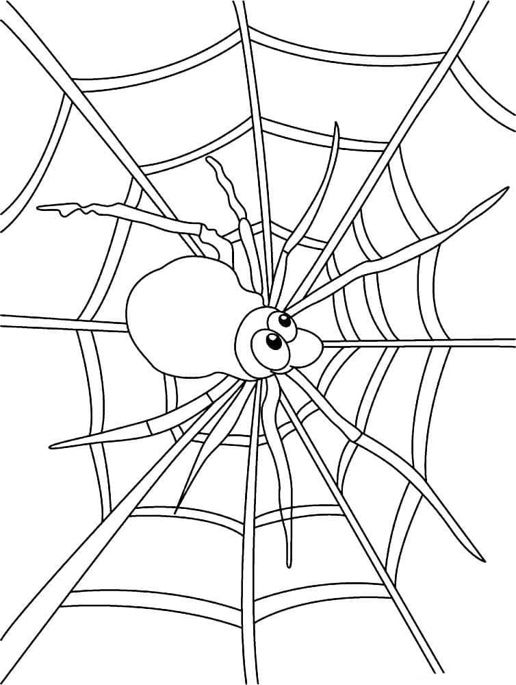 Desenho de uma Aranha na Teia de Aranha para Colorir e Pintar