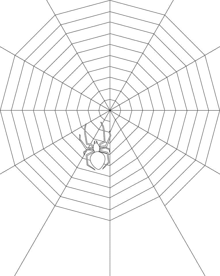 Desenho de uma Teia de Aranha Fácil para Colorir e Pintar