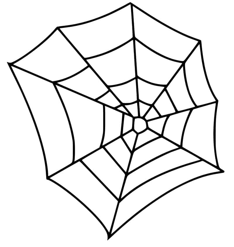 Desenho de uma Teia de Aranha Muito Fácil para Colorir e Pintar