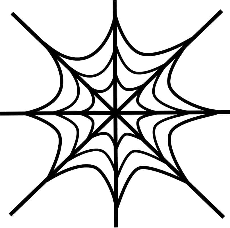 Desenho de uma Teia de Aranha Perfeita para Colorir e Pintar