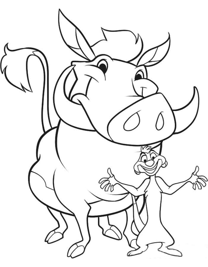 Desenho de Timão e Pumba Sorridentes para Colorir e Pintar