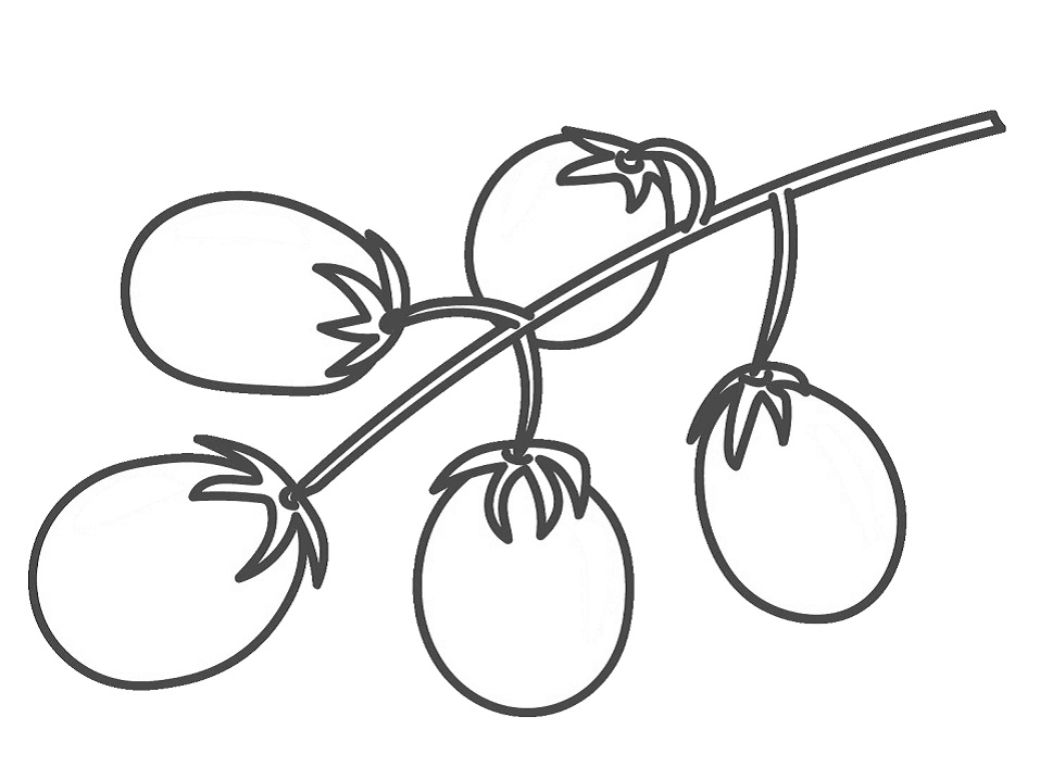 Desenho de Tomate Grátis para Colorir e Pintar