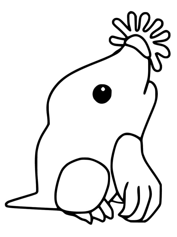 Desenho de Toupeira Adorável para Colorir e Pintar